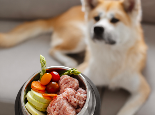 Le origini della dieta BARF