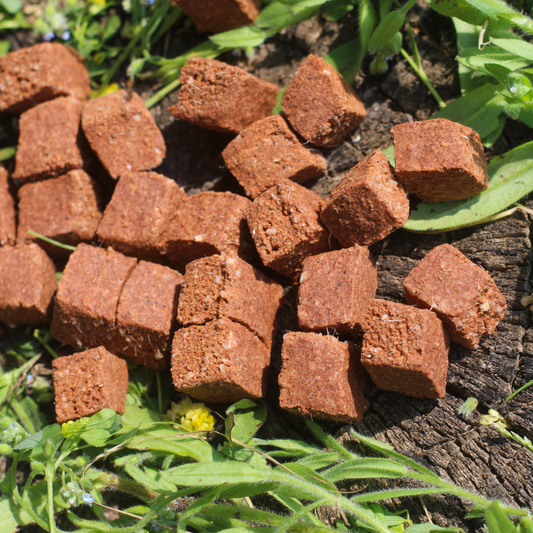 Cubetti di Cavallo Essiccati (100 gr)