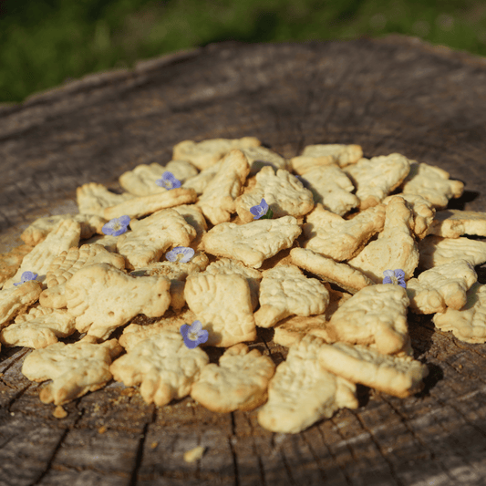 Biscotti per Cani Fragola & Yogurt (200 gr)