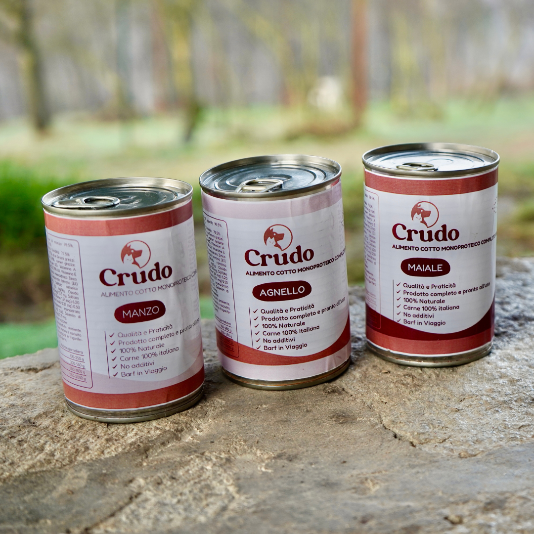 Casalinga cotta per cani