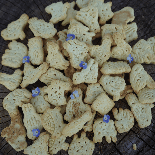 Biscotti per Cani Fragola & Yogurt (200 gr)