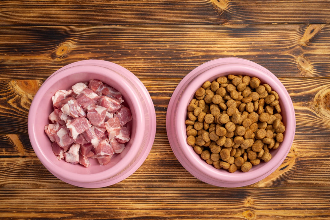 Passaggio a BARF da dieta commerciale