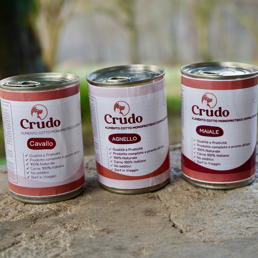 Pacchetto Convenienza 15 pezzi Casalinga cotta LATTINA