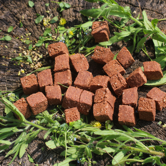 Cubetti di Cavallo Essiccati (100 gr)