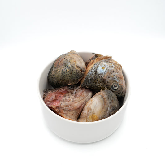 Testa di Trota (5 pz)